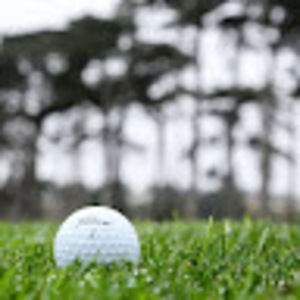 Meet your Posher, Briana